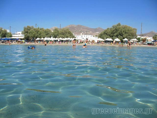 Naxos Edem Studios & Apartments Naxos City Extérieur photo